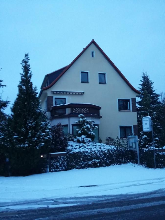 An Den Linden 31 Apartment Leipzig Exterior foto